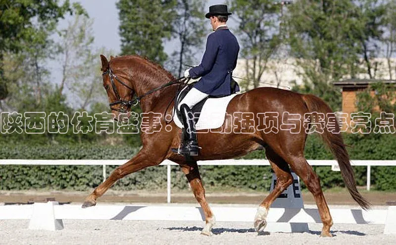 门徒娱乐平台登录入口百度网盘