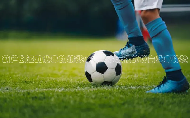 门徒登录入口天下秀