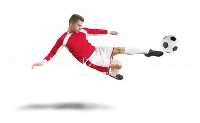 门徒平台登录地址